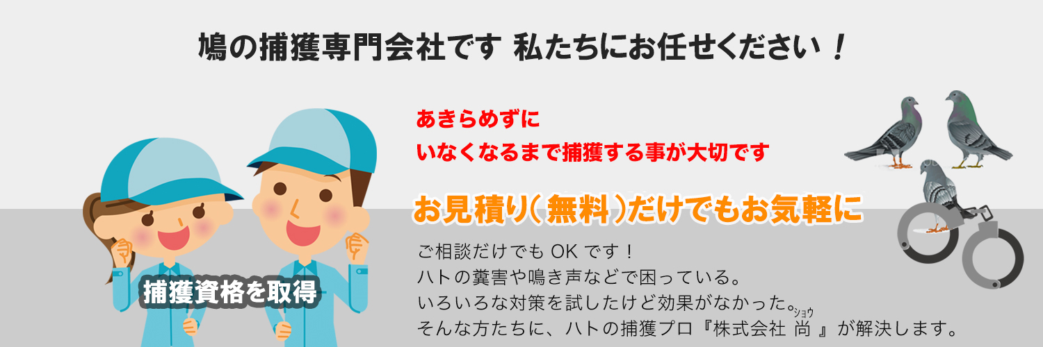 ハトの糞害や鳴き声などでお困りではありませんか？ 私たち株式会社尚が解決いたします！！ 